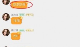 娱乐圈吃瓜文件怎么取,揭秘“吃瓜文件”背后的真相