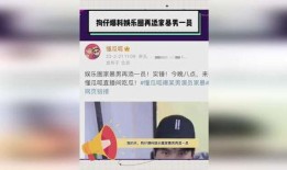 狗仔晚上爆料娱乐圈家暴,真相与反思