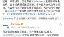 王者荣耀巴宝莉爆料视频,神秘面纱下的时尚战士