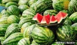 达旗网红吃瓜,揭秘网络红人的幕后生活