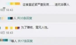 家长爆料食堂视频播放,食堂视频揭示惊人真相，食品安全引关注