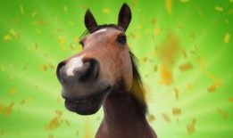 肉鸡背影爆料视频大全,揭秘幕后真相与感人瞬间