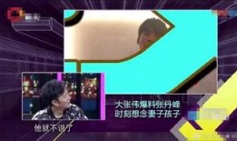 张丹峰爆料妻子视频,揭秘婚姻背后的惊人真相
