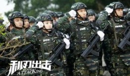 利刃出击在线观看,热血军旅，英勇无畏的使命征途