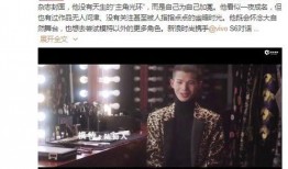 外媒爆料陆仙人的视频,外媒热议东方之美