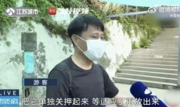网红吃瓜警察,揭秘网络红人的真实生活与执法故事