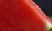 免费吃瓜月月,畅享美食盛宴，尽享欢乐时光