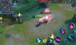 王者荣耀占卜师爆料视频,神秘英雄即将登场！