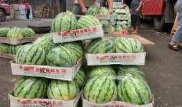 扫一扫免费吃瓜,免费瓜分惊喜，畅享夏日清凉！