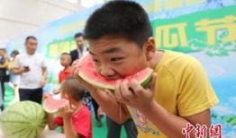 吃瓜现场免费,免费体验，畅享夏日狂欢