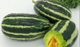 尖尖吃瓜免费,揭秘娱乐圈幕后故事