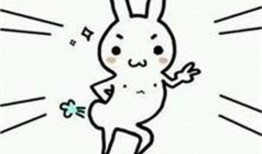 肉鸡背影爆料视频大全,揭秘幕后真相与感人瞬间