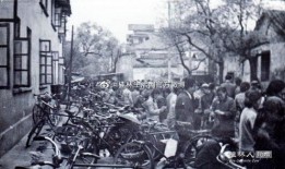 桂林新闻爆料视频今天,揭秘今日热点事件背后的真相