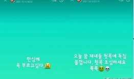 韩国财阀网上爆料视频,揭秘权力与金钱的黑暗面