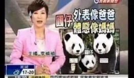 熊猫哥女朋友的爆料视频,背后的惊人真相