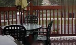 露台春潮在线观看,在线观看，感受古典诗意与现代情感的交织