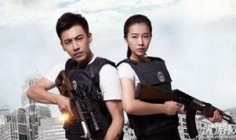 警察锅哥全集在线观看,正义与智慧的较量